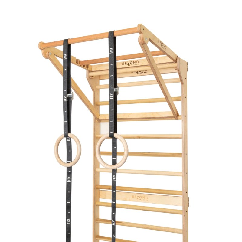 Beyond Balance Adjustable Pull-Up and Dip Bar for Stall Bars