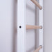 BenchK 521 Floor-to-Ceiling Swedish Ladder with Gymnastics Package rungs side view close-up