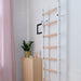 BenchK Swedish Ladder Steel and Beech Wood White in simple clean room