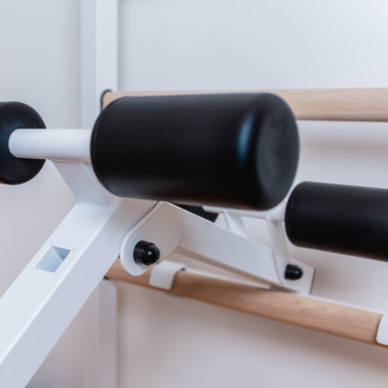 BenchK Swedish Ladder With Bench Rack and Dip Bar in White bench with rungs in background